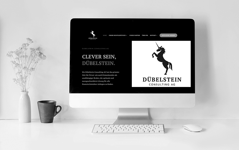 Dübelstein Consulting AG